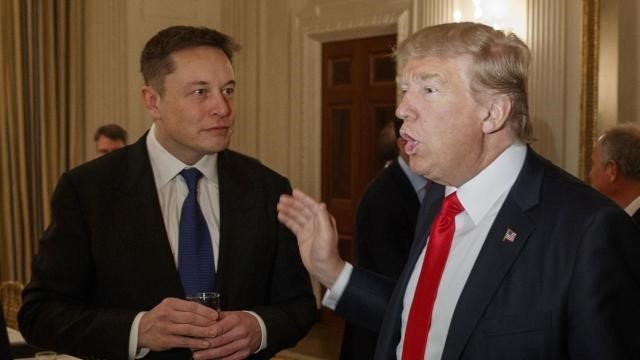 Trump Musk Interview